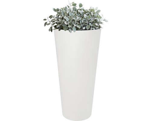 Hoher Blumentopf mit Pflanze