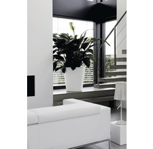 Pflanzkübel elho Pure straight round Kunststoff Ø 65 H 68,5 cm weiß