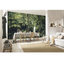 Fototapete Vlies SH008-VD4 Stefan Hefele Ed 1 Hidden Treasure 4-tlg. 400 x 250 cm