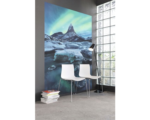 Raum mit Fototapete, die einen Berg, Eis und Wasser darstellt, mit zwei Stühlen und einer Stehlampe.