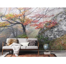 Fototapete Vlies SH031-VD3 Stefan Hefele Ed. 1 Euphoria 3-tlg. 200 x 300 cm