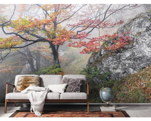 Fototapete mit Baum und Felsenmotiv hinter einer Couch