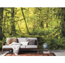Fototapete Vlies SH040-VD4 Stefan Hefele Ed 1 Ancient World 4-tlg. 400 x 250 cm
