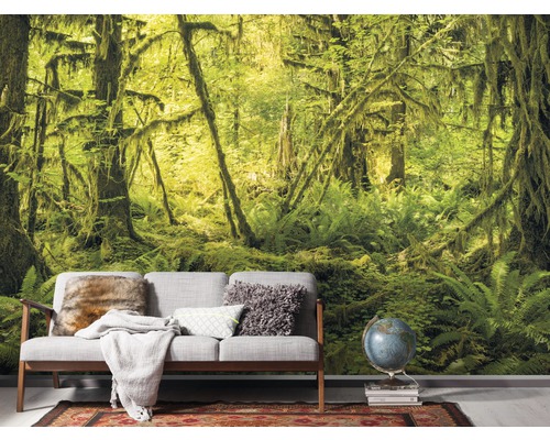 Fototapete mit Waldmotiv hinter einem Sofa