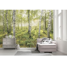 Wohnraum mit Fototapete Birkenwald, Kommode und Sofa