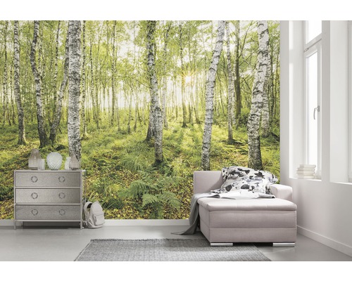 Wohnraum mit Fototapete Birkenwald, Kommode und Sofa