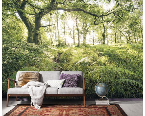 Wohnraum mit einer Fototapete, die einen Wald mit Bäumen und Farnen zeigt