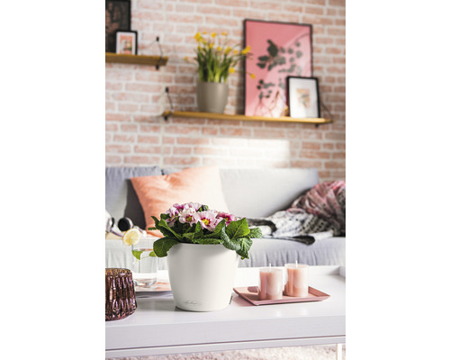 Dekorative Inneneinrichtung mit Tisch, Sofa, Regalen und Blumen