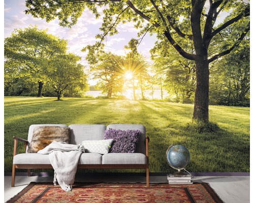 Fototapete mit Landschaftsmotiv, die einen Park mit Bäumen und Rasen zeigt