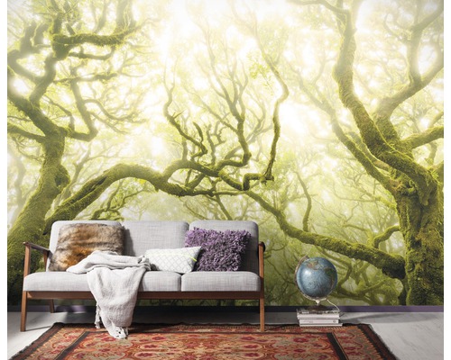 Fototapete mit einem Waldmotiv hinter einer Couch