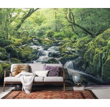 Fototapete mit Waldlandschaft, Fluss und Moos auf Steinen im Wohnraum