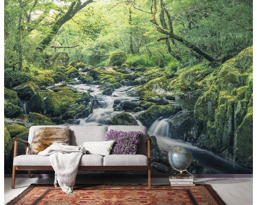Fototapete mit Waldlandschaft, Fluss und Moos auf Steinen im Wohnraum