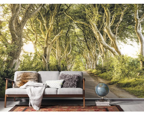 Wohnraum mit Fototapete mit Baumallee