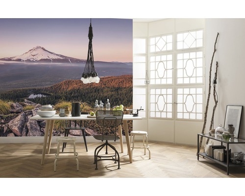 Heller Raum mit Esstisch, Stühlen, Lampe und Fototapete mit Berglandschaft