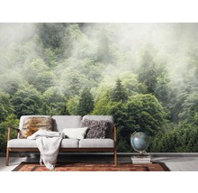 Wohnzimmer mit Fototapete eines nebligen Waldes und Sofa