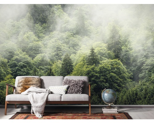 Wohnzimmer mit Fototapete eines nebligen Waldes und Sofa