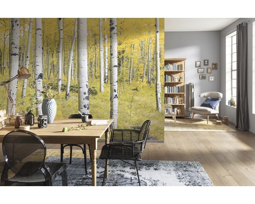 Wohnraum mit Fototapete Birkenwald im Herbst, Esstisch und Bücherregal