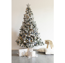 Geschmückter Weihnachtsbaum mit Sternspitze, Christbaumkugeln und Geschenken