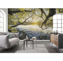 Fototapete Vlies SH080-VD4 Stefan Hefele Ed 1 Golden Embrace 4-tlg. 400 x 250 cm
