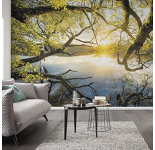 Fototapete Vlies SH080-VD4 Stefan Hefele Ed 1 Golden Embrace 4-tlg. 400 x 250 cm