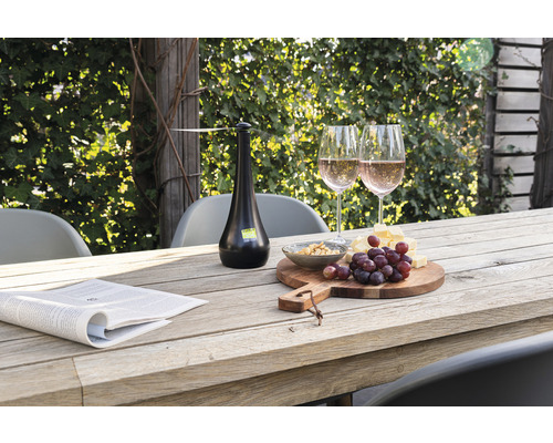 Szene mit Tisch, Gläsern, Speisen, Zeitung und Insektenschutz