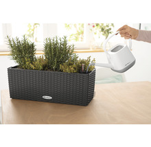 Blumenkasten Lechuza Balconera Cottage Kunststoff 50x19x19 cm granit inkl. Erdbewässerungssystem und Wasserstandsanzeiger