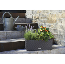 Blumenkasten Lechuza Balconera Cottage Kunststoff 50x19x19 cm granit inkl. Erdbewässerungssystem und Wasserstandsanzeiger
