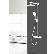 Duschsäule mit Kopf- und Handbrause im Badezimmer