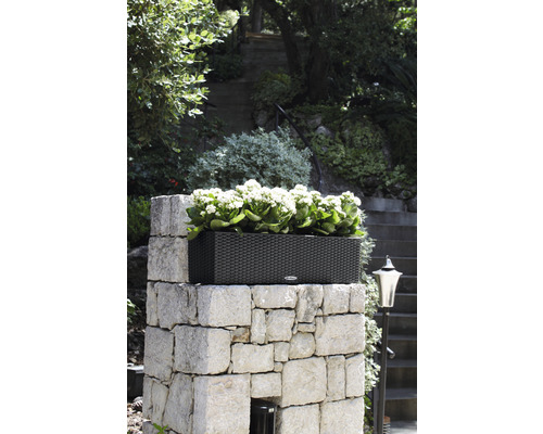 Rechteckiger Pflanzkasten aus Rattan auf einer Steinmauer mit Bepflanzung