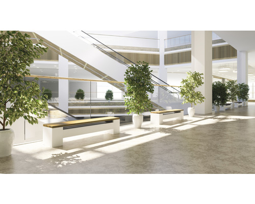 Helle Halle mit Sitzbänken, Pflanzen und Treppe