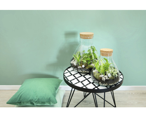 Zwei Glas-Terrarien mit Pflanzen und Korkverschlüssen auf einem Beistelltisch