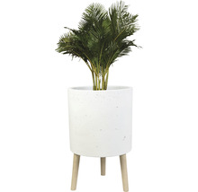 Blumentopf mit Gestell Lafiora Ø 33 cm weiß inkl. Füße