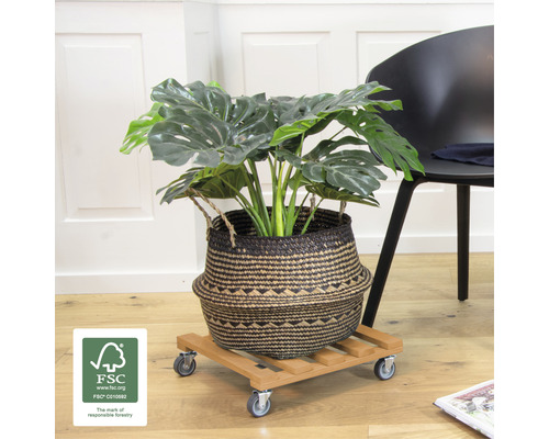 Zimmerpflanze in einem Korb auf einem Pflanzenroller aus Holz mit Rollen