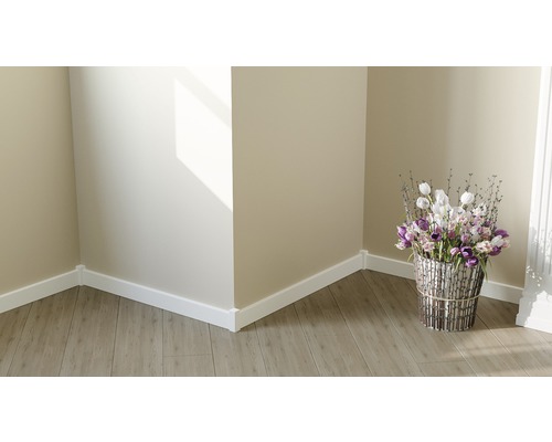 Zimmerecke mit weißen Sockelleisten und Blumenarrangement in einem Behälter