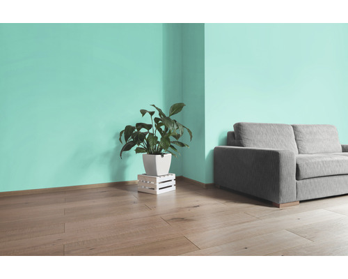 Heller Raum mit Sofa, Zimmerpflanze im Topf und Wandfarbe