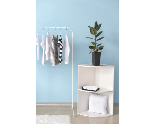 Helle Raumszene mit Kleiderständer, Eckregal und Zimmerpflanze