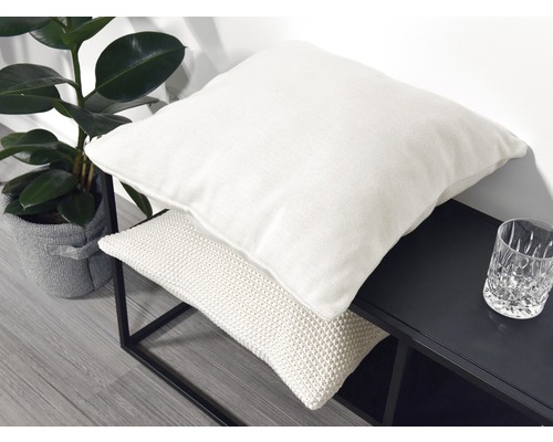 Dekorative Szene mit rechteckigem und quadratischem Kissen auf einer schwarzen Konsole neben einer Zimmerpflanze in einem Topf.