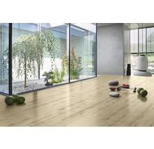 Heller Raum mit Laminatboden, Innenhof mit Pflanzen und minimalistischer Dekoration