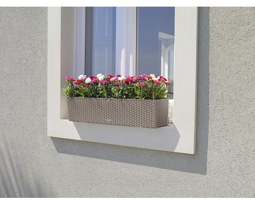 Blumenkasten mit Blumen am Fenster