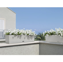 Zwei bepflanzte Blumenkästen im Außenbereich