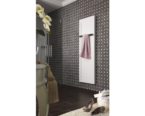 Badezimmer mit Handtuchheizkörper, Handtuch und dekorativen Elementen für ein stilvolles Ambiente