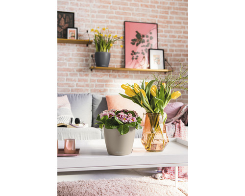 Wohnzimmer mit Tischdekoration, bestehend aus Blumentöpfen und Tulpen in einer Vase