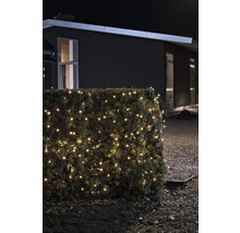 Beleuchtete Hecke mit Lichterkette vor einem Haus bei Nacht.