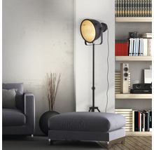 Wohnzimmer mit Sofa, Hocker, Stehlampe im Scheinwerferstil und Regal