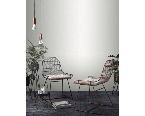 Heller Raum mit zwei Drahtstühlen und Pflanzen