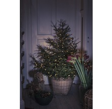 Dekorierter Weihnachtsbaum im geflochtenen Korb mit Amaryllis und Strohfigur