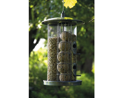 Vogelhaus mit Sonnenblumenkernen und Meisenknödel