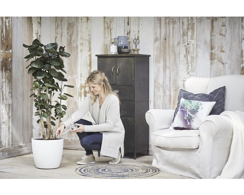 Frau gießt Zimmerpflanze im weißen Topf in heller Einrichtung mit Sessel und Schrank