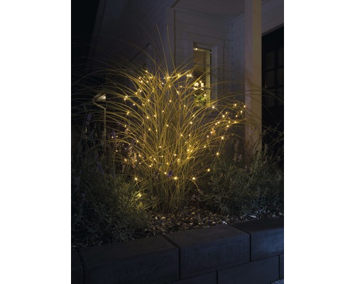 Dekorative Lichterkette umhüllt eine Pflanze im Garten.