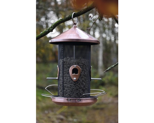 Vogelhaus aus Metall mit Futtermittel hängt an einem Ast